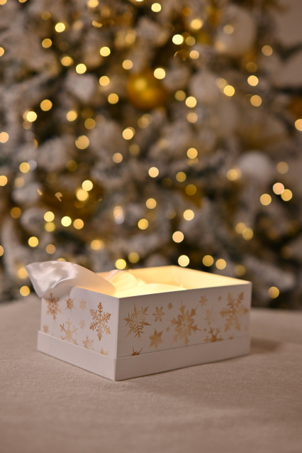 О нас – фото № 26